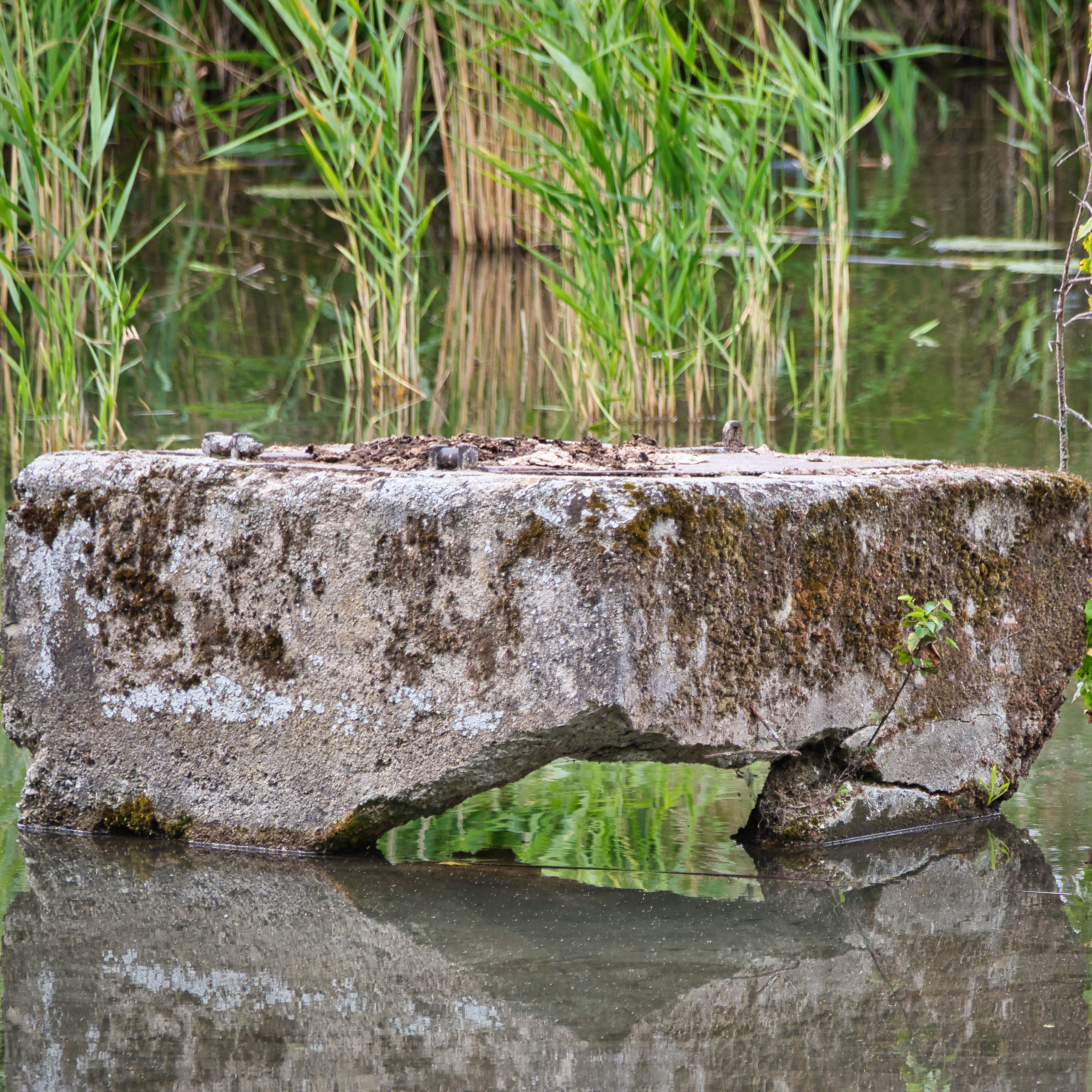 Dieser Stein war Jahrzehntelang unter der Wasseroberfläche und so nicht sichtbar.