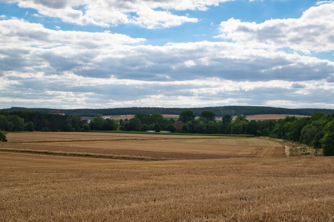 Sommer im Innerstetal